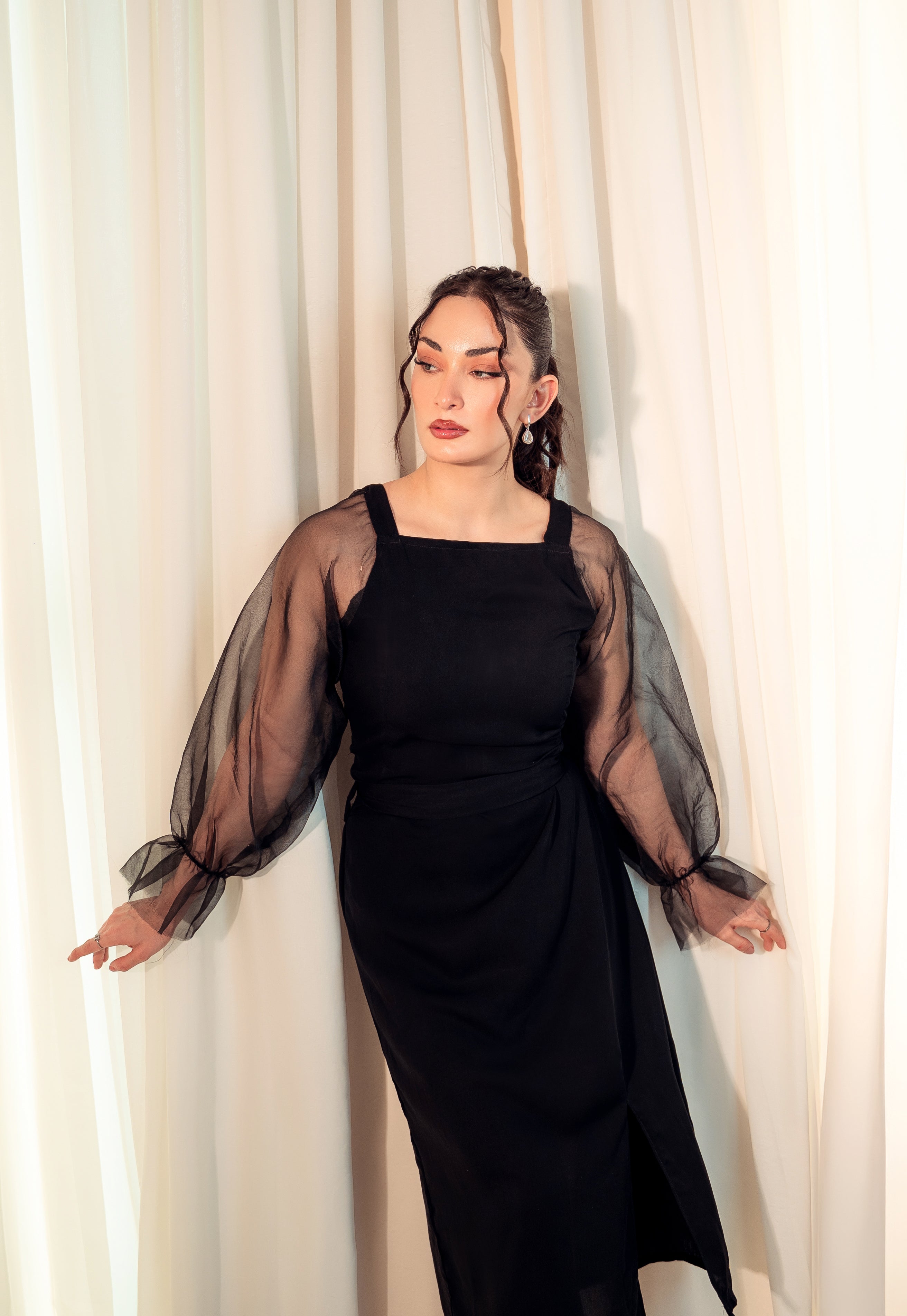 Organza Long Sleeve Bodycon Dress - Black