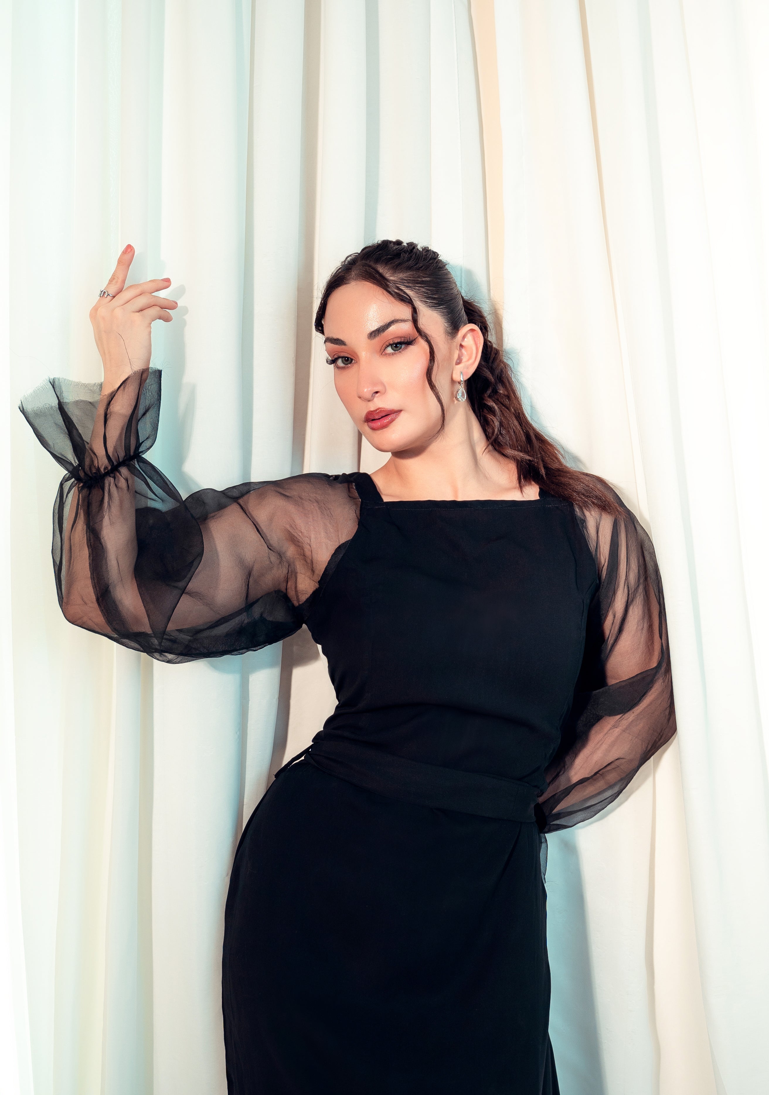 Organza Long Sleeve Bodycon Dress - Black